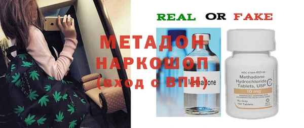 крисы Бородино