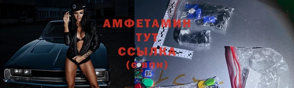 крисы Бородино