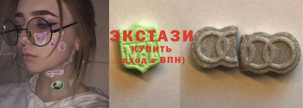 крисы Бородино
