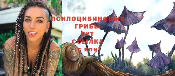 ПСИЛОЦИБИНОВЫЕ ГРИБЫ Бронницы