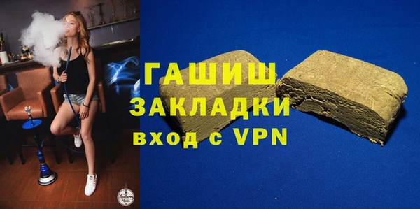 крисы Бородино